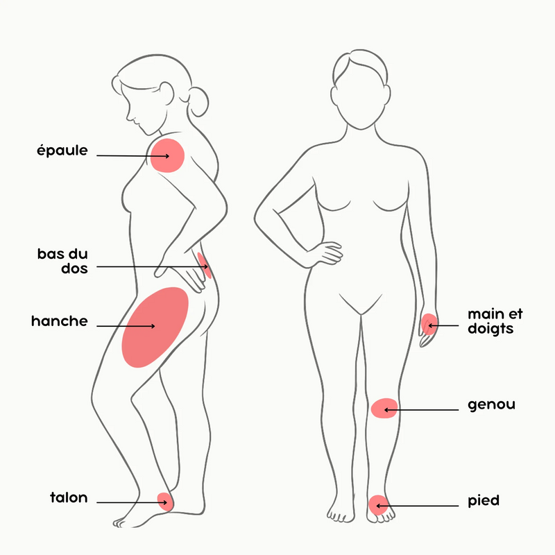 Body diagram
